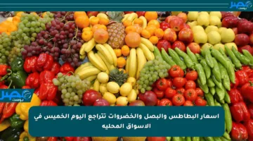 أسعار البطاطس والبصل والخضروات تتراجع اليوم الخميس في الأسواق المحلية